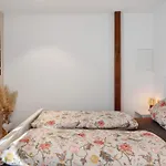 Kaiserstuhlnest Am Rhein * 莱茵河畔的布赖萨赫