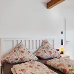 Kaiserstuhlnest Am Rhein *